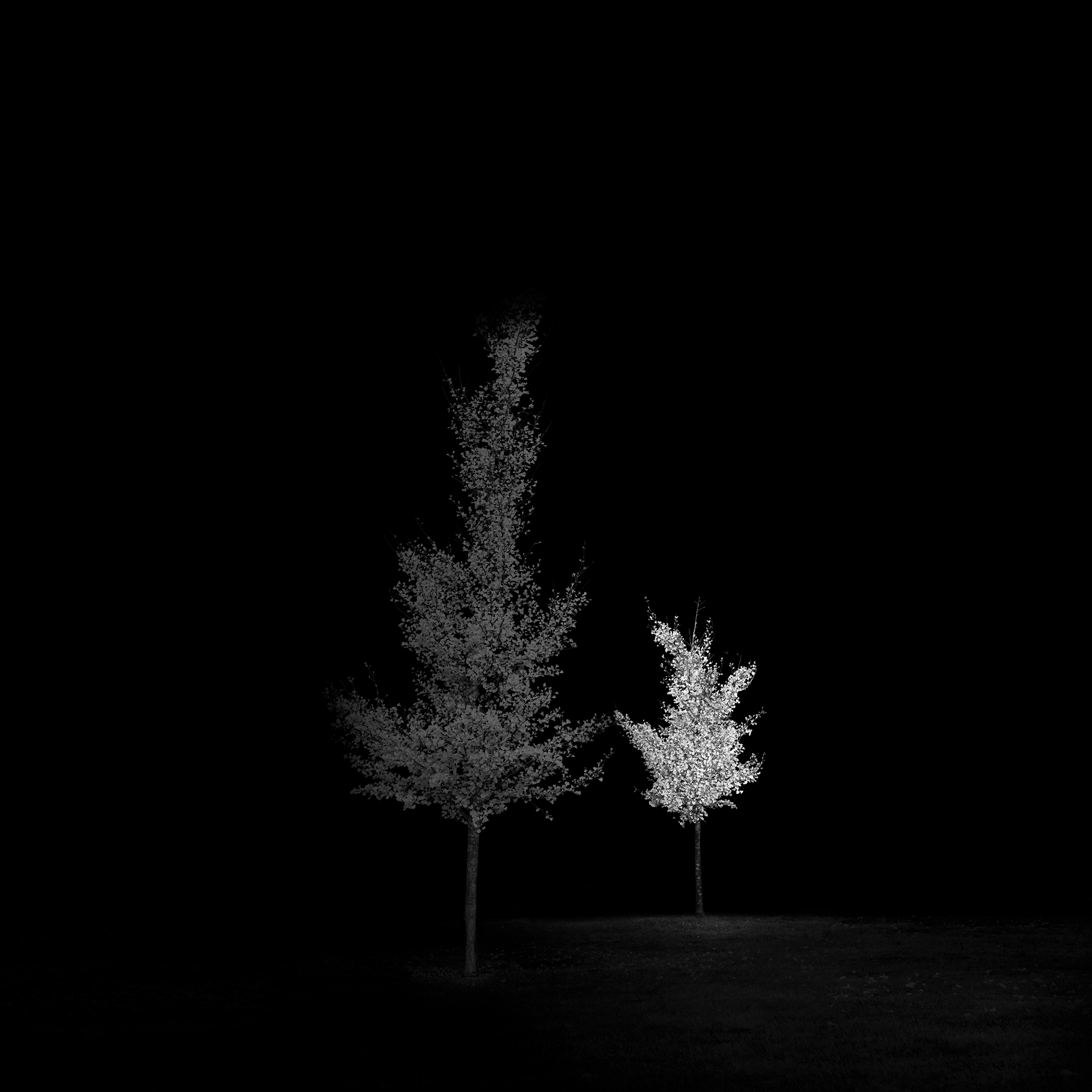 3_UnboundHold_ShiraGold_Photograph_2018