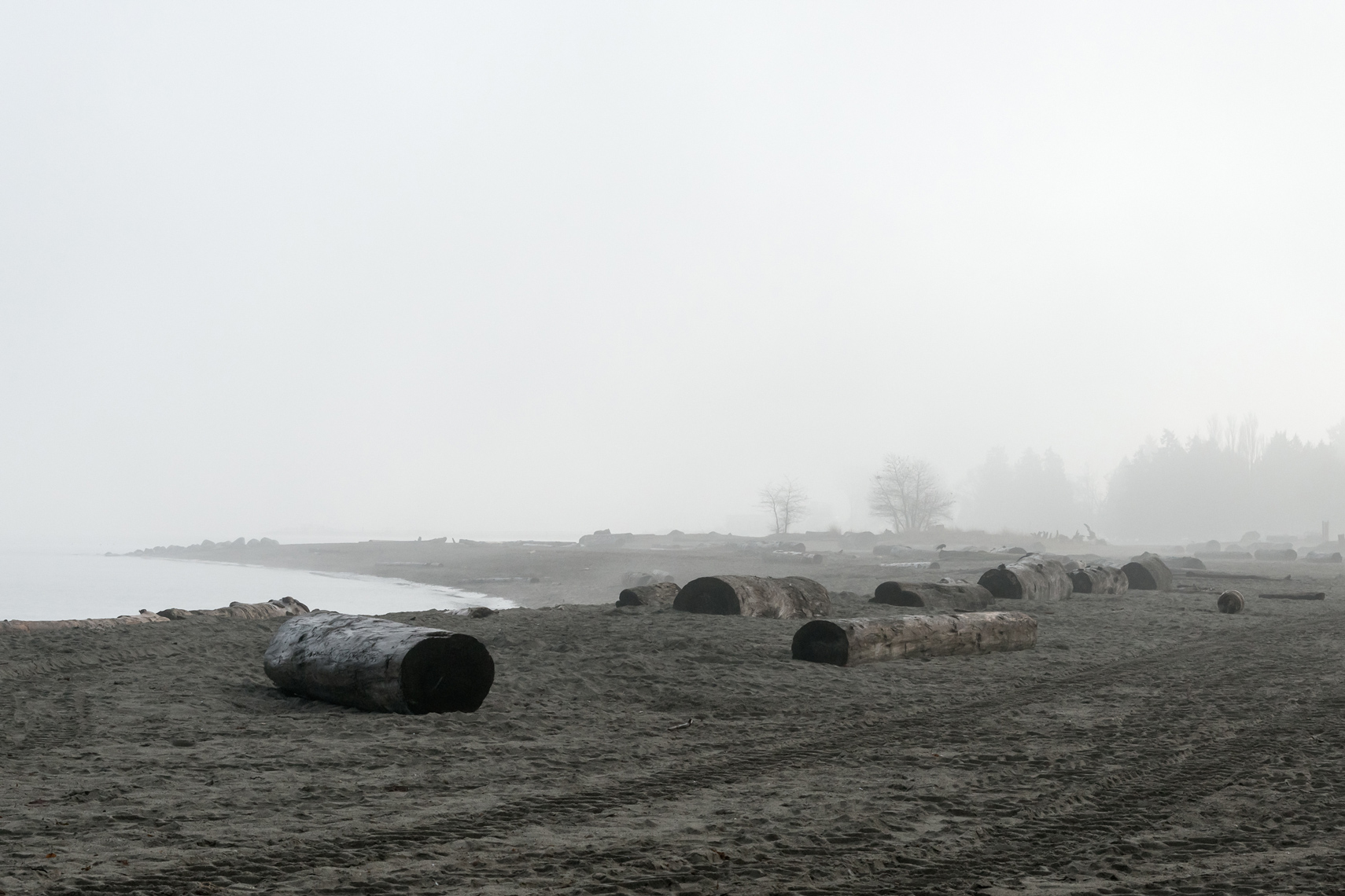 2_Rested-Wakefullness_2018_Photograph_20x30inches_Editionsof10_