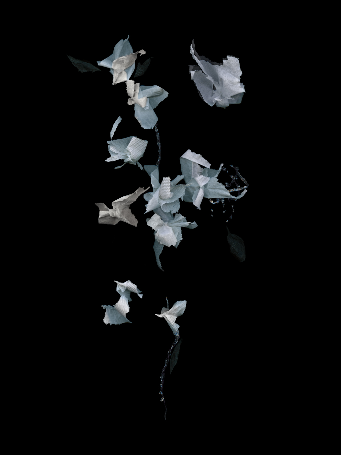 4_EphemeralFindings_Photograph_Shira_Gold_Photography