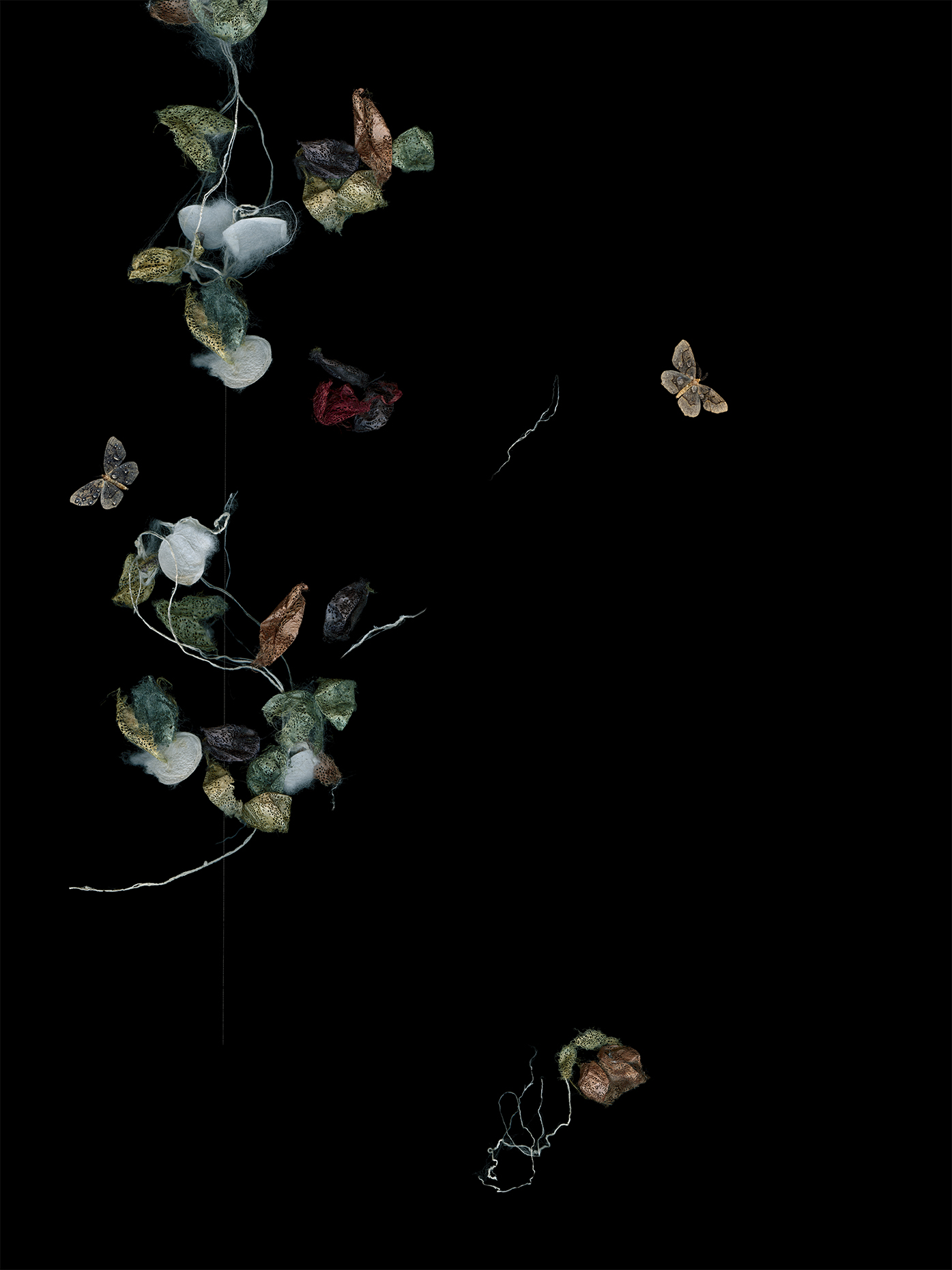 4_InTheBeginning_Photograph_Shira_Gold_Photography