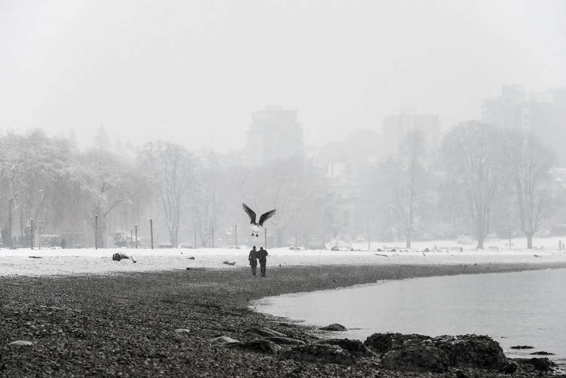 7_This-Way_2018_Photograph_20x30_editionsof8